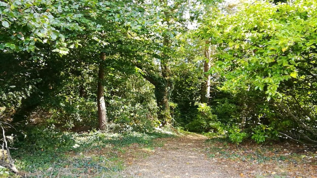 Many Worlds Meet: Spacious Family Stay near Wimbledon & London Croydon Exterior photo